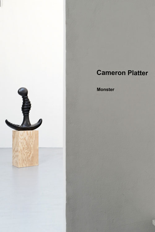 Cameron Platter galerie hussenot 