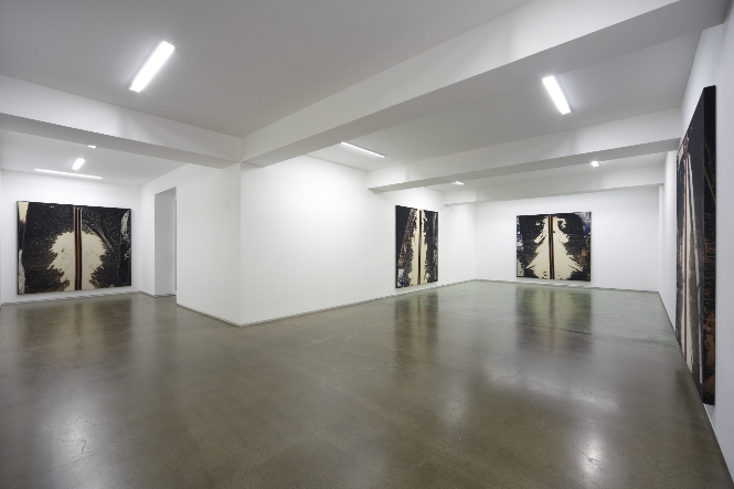 Sterling Ruby Taka Ishii Gallery 