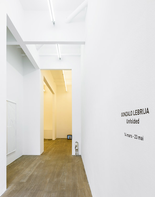 Gonzalo Lebrija Galerie Laurent Godin 