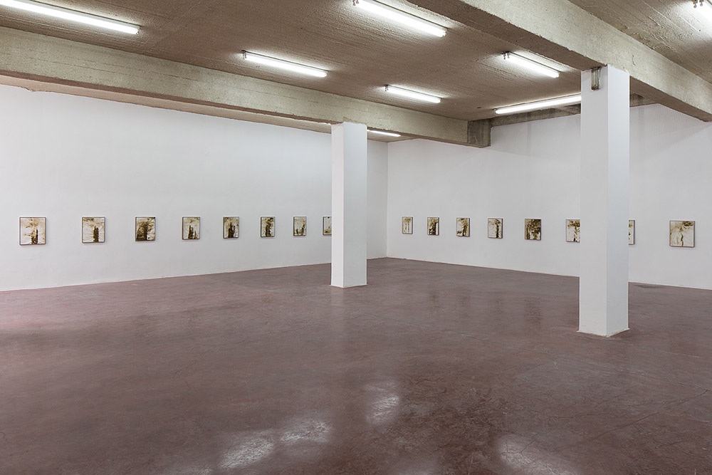 Simon Fujiwara Dvir Gallery 
