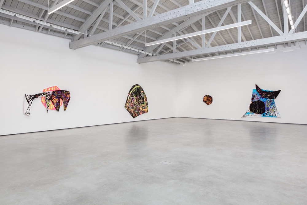 Aaron Curry David Kordansky Gallery 