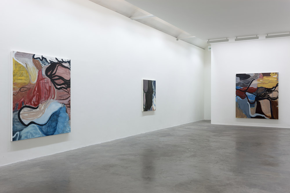 Liliane Tomasko Kerlin Gallery 
