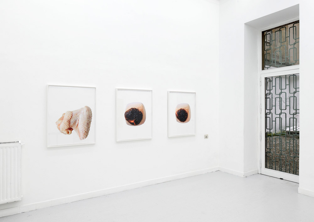 Lisa Holzer Galerie Emanuel Layr 