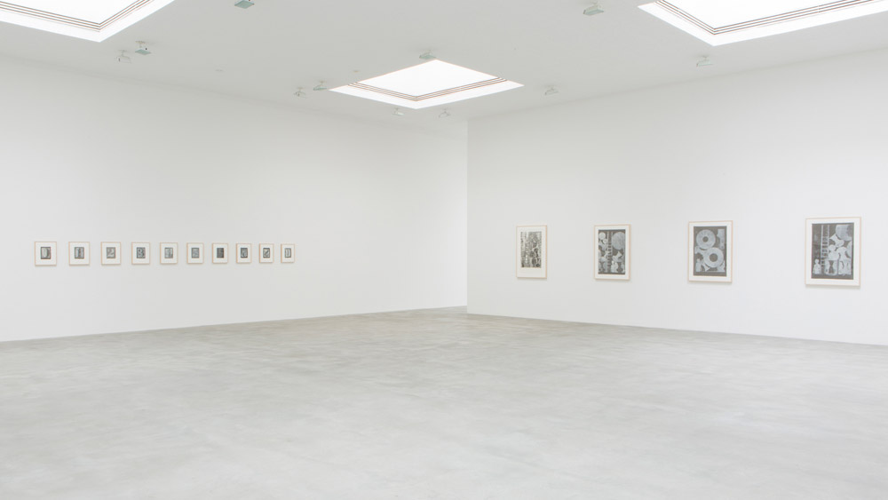 Jasper Johns Matthew Marks Gallery 