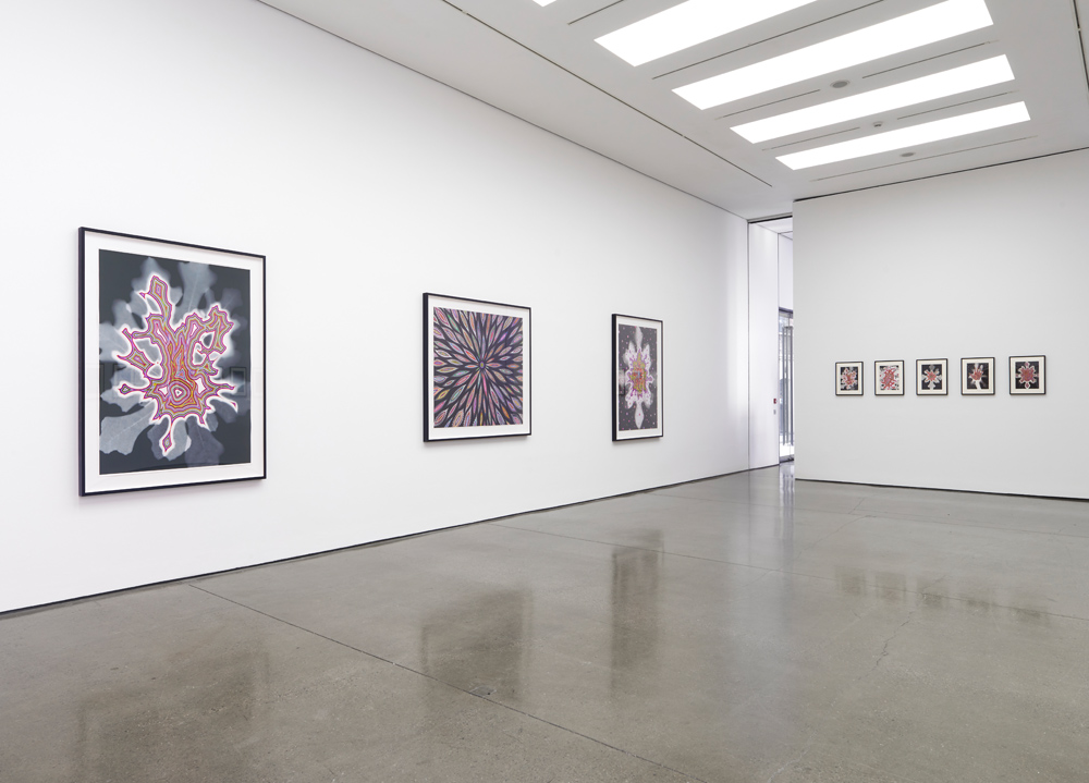 Fred Tomaselli White Cube 
