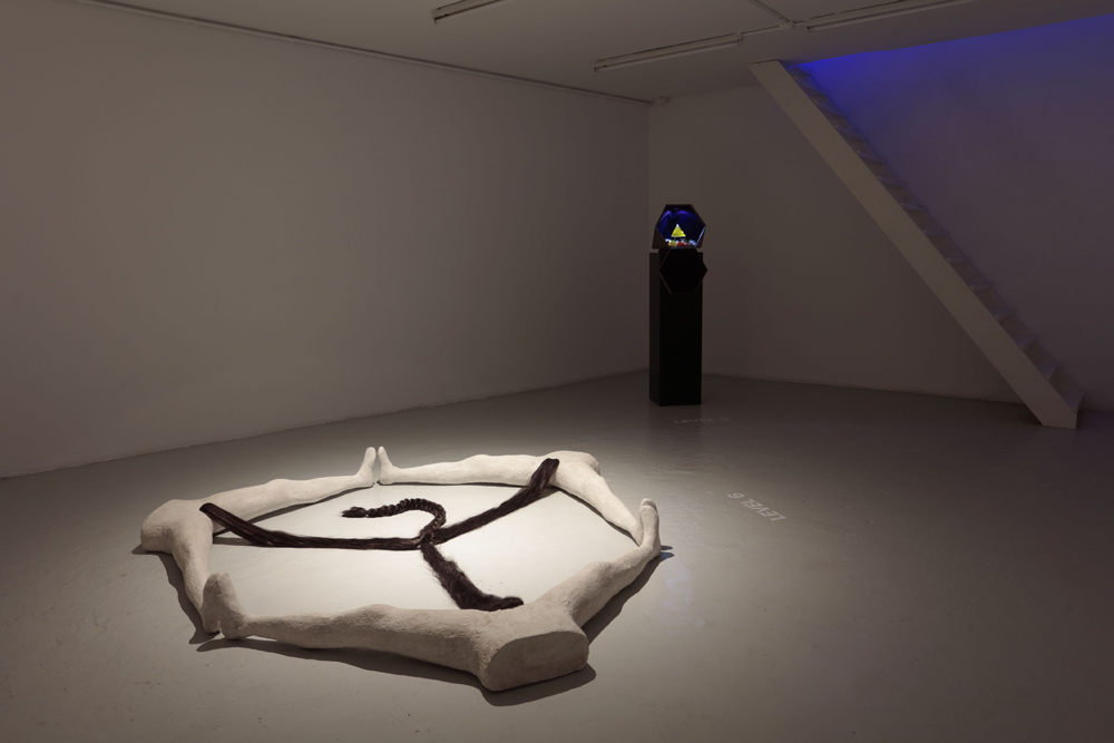 Yarisal & Kublitz Galerie Laurent Godin 