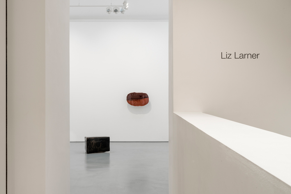 Liz Larner Galerie Max Hetzler 