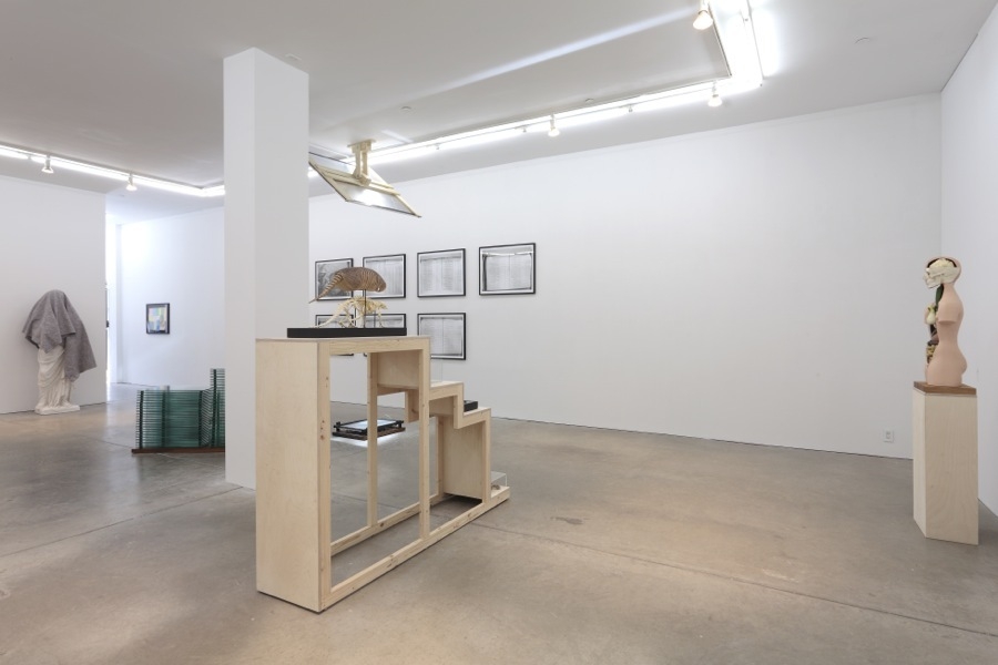 Klaus Weber Andrew Kreps Gallery 