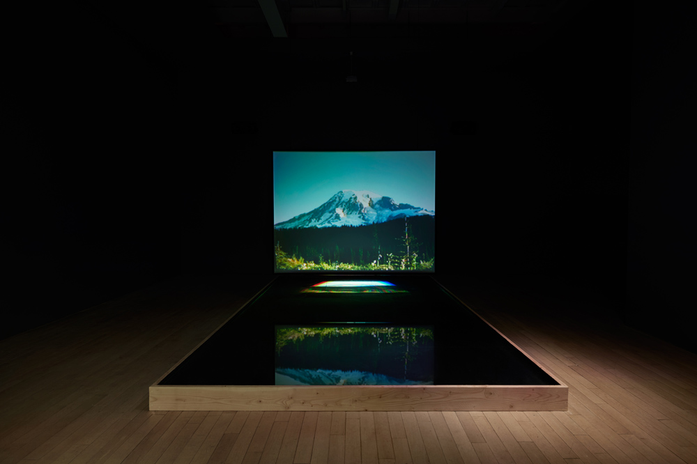 Bill Viola James Cohan Gallery Moving Stillness: Mount Rainier 1979