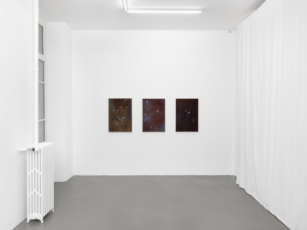 Isabelle Cornaro Galerie Mezzanin 