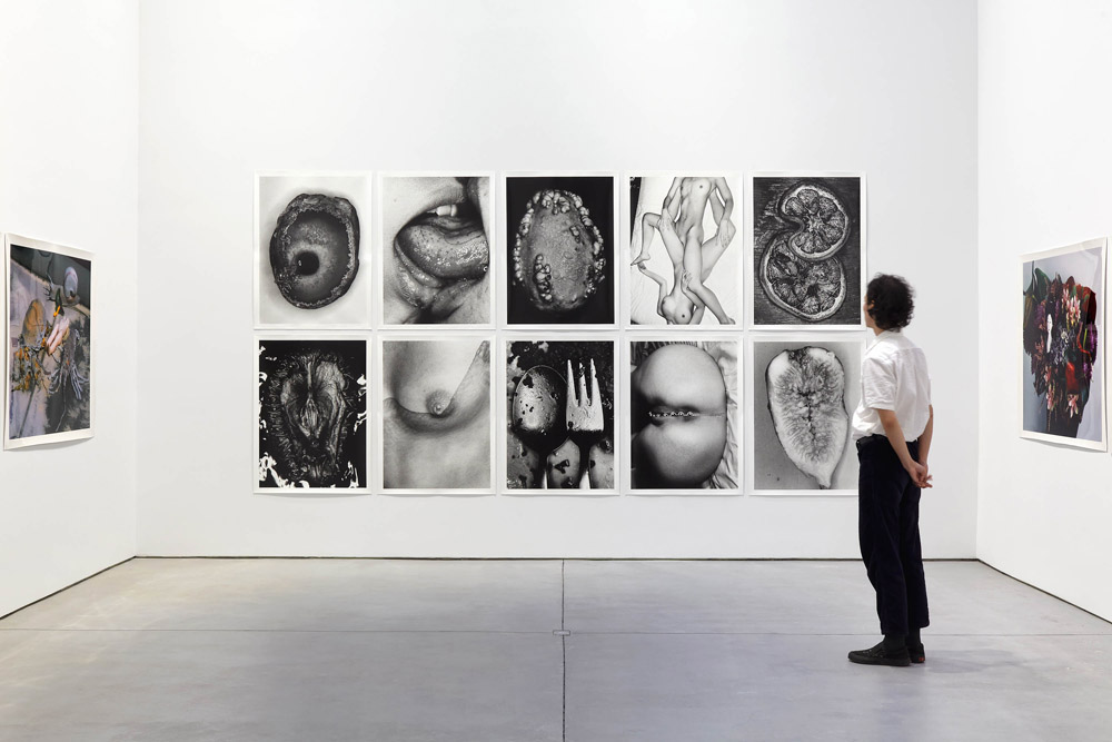 Nobuyoshi Araki Anton Kern Gallery 