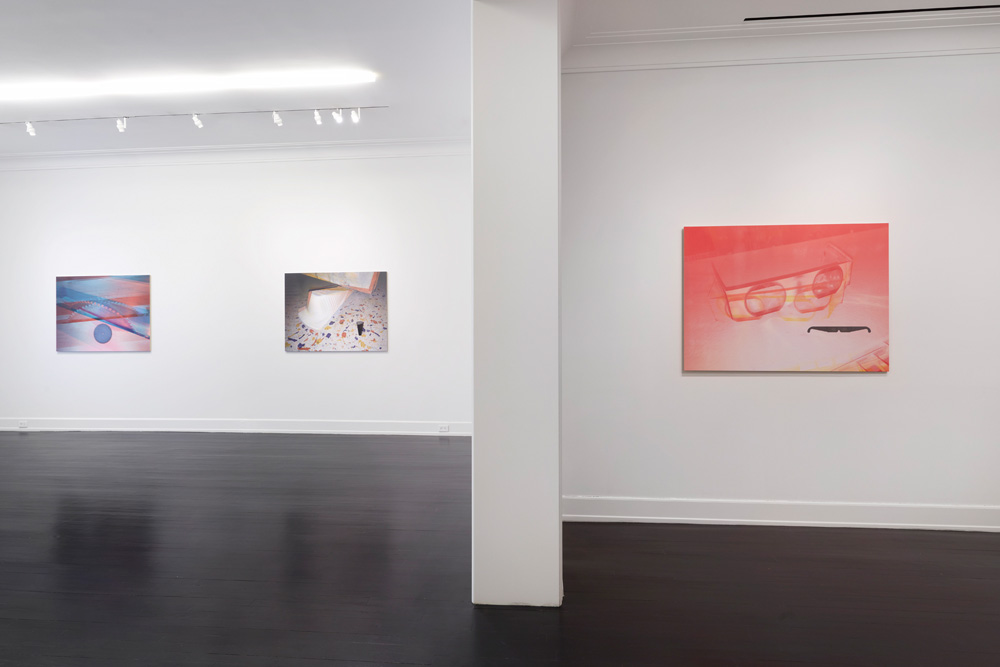 Adam McEwen Petzel Gallery 