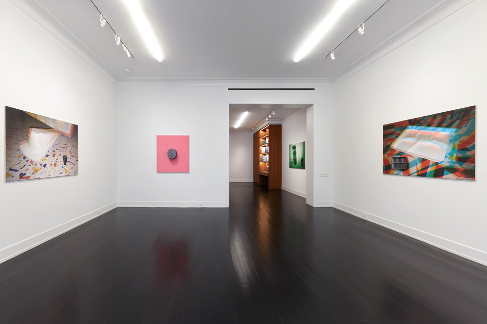 Adam McEwen Petzel Gallery 