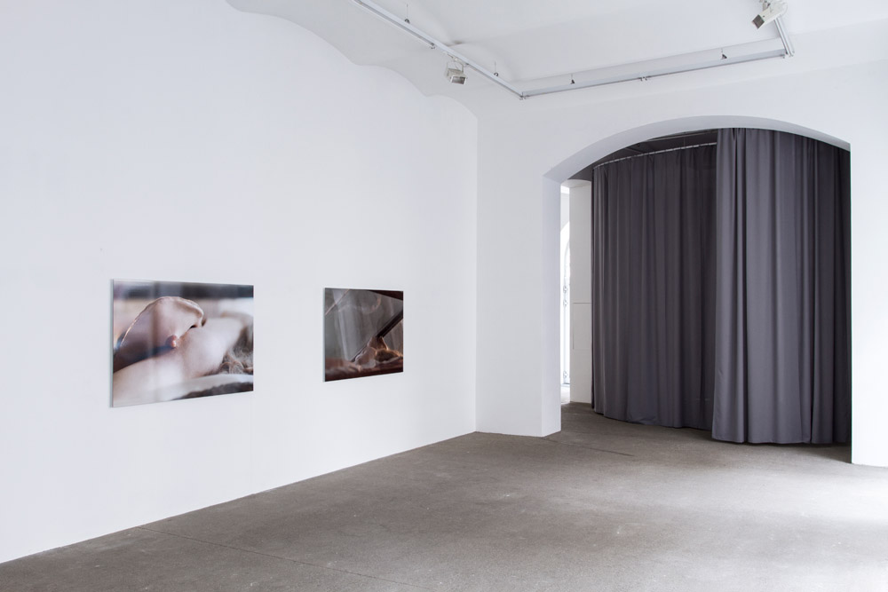 Carmen Brucic Galerie Elisabeth & Klaus Thoman 
