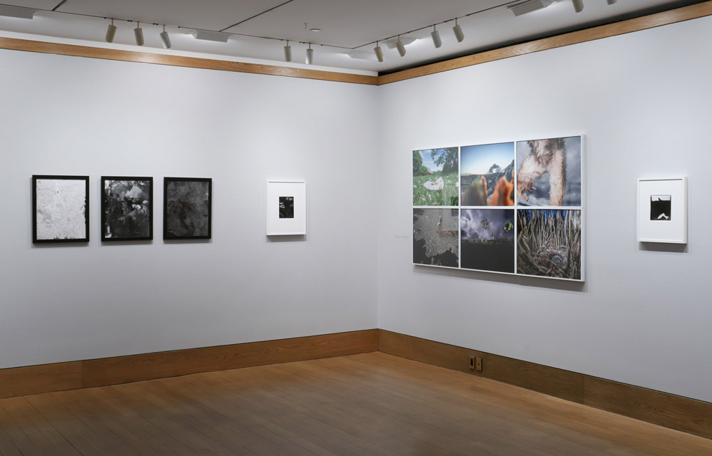  Howard Greenberg Gallery 