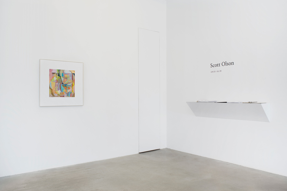 Scott Olson James Cohan Gallery 