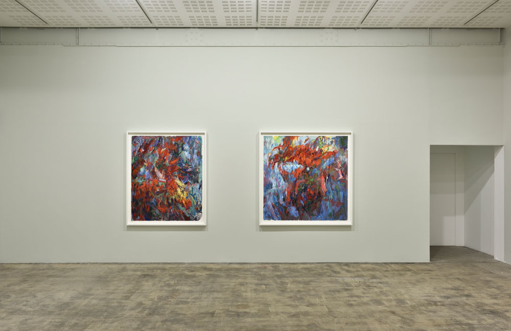 Sabine Moritz Marian Goodman Gallery 