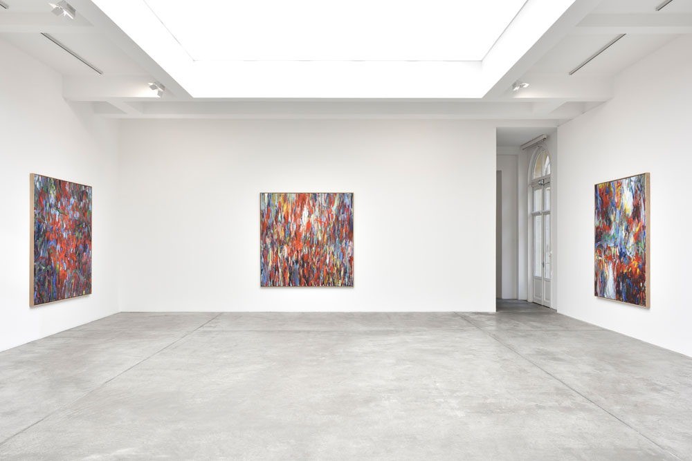 Sabine Moritz Marian Goodman Gallery 