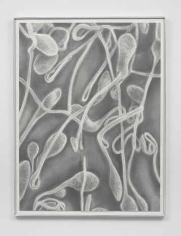Juan Antonio Olivares, Untitled (Spermatozoa on Mucus Lining), 2019, Bortolami Gallery