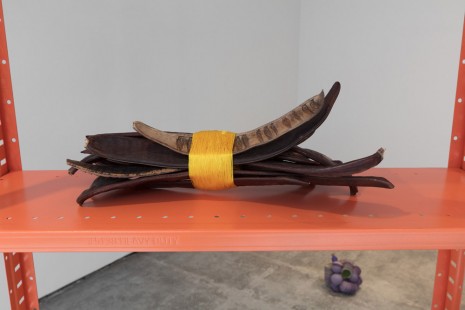 Veronica Ryan, Shack, Shack, 2018 , Paula Cooper Gallery