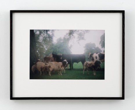 Karen Kilimnik, cows in the english mist, 1984 (printed 2004) , 303 Gallery