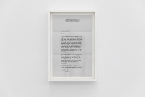 Lisa Tan, Letters From Dr. Bamberger, 2002-2010, Galleri Riis