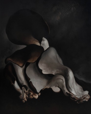 Yan Bing, Mushroom No.16, 2019, ShanghART