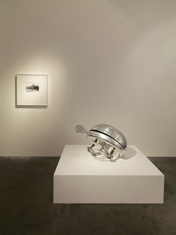Ydessa Hendeles, Canadian Child, 2009, König Galerie