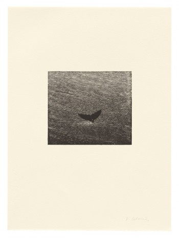Vija Celmins, Whale, 1990, from A Bestiary, 1990 , Matthew Marks Gallery