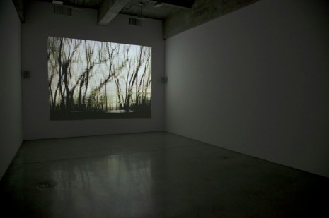 , Looking Glass, 2007, Tanya Bonakdar Gallery