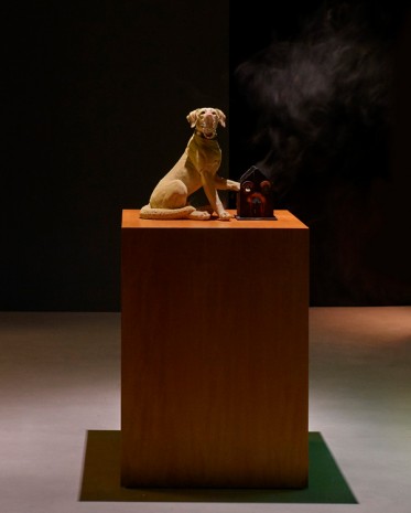 Ajay Kurian, Who has who?, 2019 , Sies + Höke Galerie