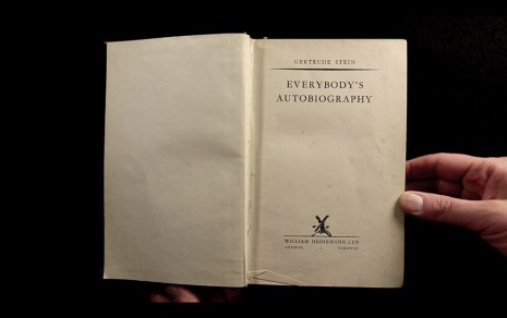 Alexandra Leykauf , Everybody's Autobiography, 2015, Galleri Bo Bjerggaard