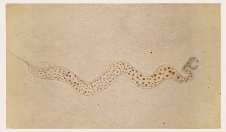 Bill Traylor, Brown Spotted Snake, 1939-1942 , David Zwirner