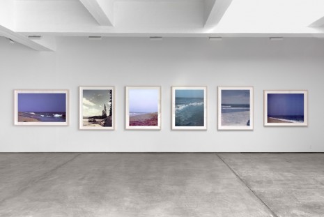 Paul Pfeiffer, 24 Landscapes, 2000/2008, Paula Cooper Gallery