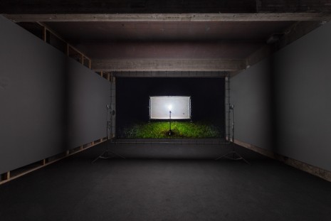 Henrik Håkansson, BLINDED BY THE LIGHT, 2018, Galleria Franco Noero