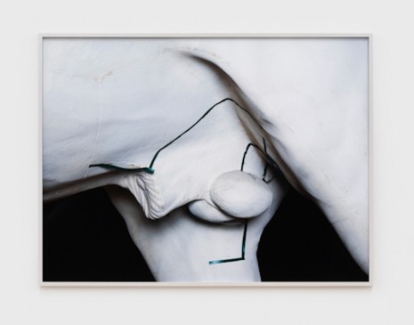 Viviane Sassen, Phaedrus, 2019 , Andrew Kreps Gallery