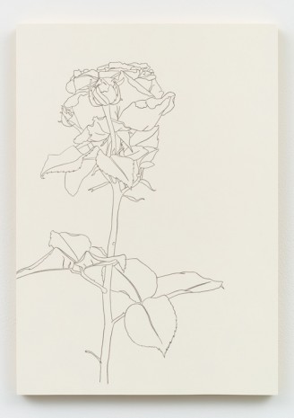 Caitlin Keogh, Roses #13, 2019 , Bortolami Gallery