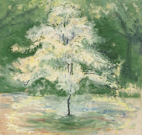 Celia Paul, Hawthorn Blossom Tree, 2019, Victoria Miro