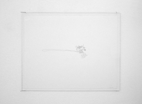 Nicolás Guagnini, Cat, 2011, Galerie Micheline Szwajcer (closed)