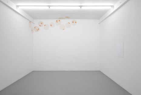 Mieko Meguro, Orange, 2012, Galerie Micheline Szwajcer (closed)