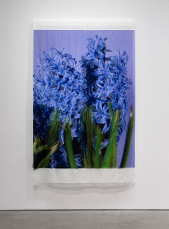 T. J. Wilcox, Hyacinth and Apollo, 2020 , Gladstone Gallery