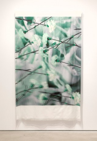 T. J. Wilcox, Green Carnation, 2020 , Gladstone Gallery