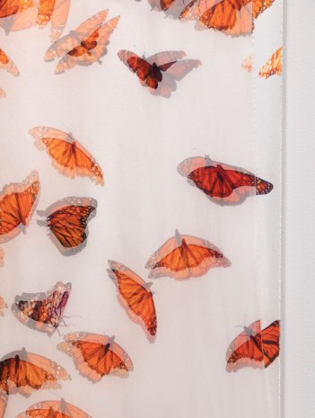 T. J. Wilcox, A Flight of Monarchs, 2020 , Gladstone Gallery