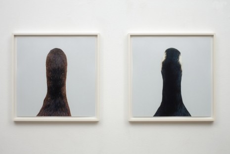 Roni Horn, Untitled No.10, 2000 , Galleria Raffaella Cortese