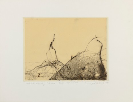 Annegret Soltau, Spinne (Spider), 1978 , Richard Saltoun Gallery