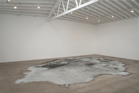 Roger Hiorns, Untitled, 2008, Marc Foxx (closed)