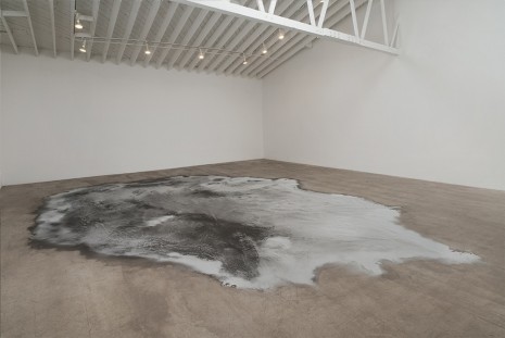 Roger Hiorns, Untitled, 2008, Marc Foxx (closed)