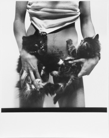 Moyra Davey, Cats, 1984 , Galerie Buchholz