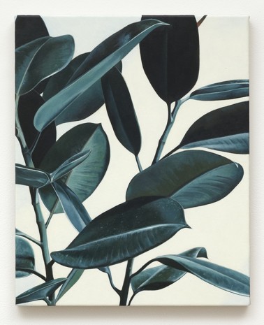 Oliver Osborne, Rubber Plant, 2012, The Approach