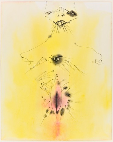 Andriu Deplazes, Rosa im Gelb, 2019 , Galerie Peter Kilchmann